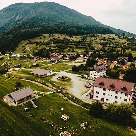 Pensiunea 3 Brazi Zărneşti Buitenkant foto