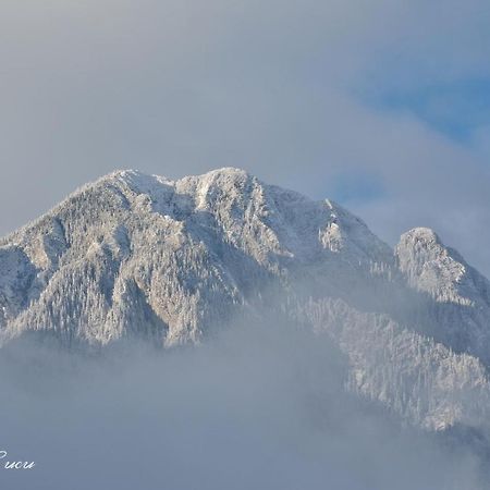 Pensiunea 3 Brazi Zărneşti Buitenkant foto