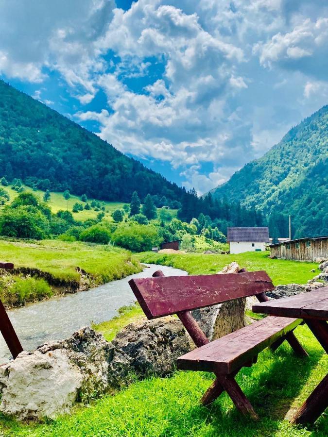 Pensiunea 3 Brazi Zărneşti Buitenkant foto