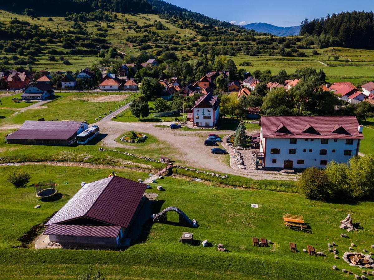 Pensiunea 3 Brazi Zărneşti Buitenkant foto