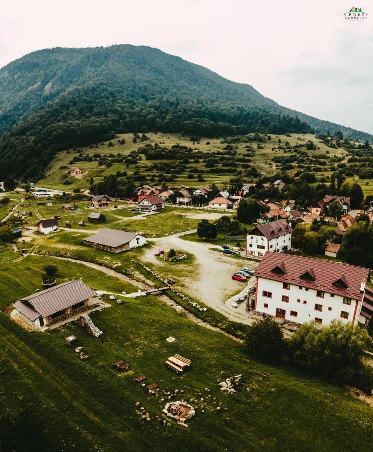 Pensiunea 3 Brazi Zărneşti Buitenkant foto