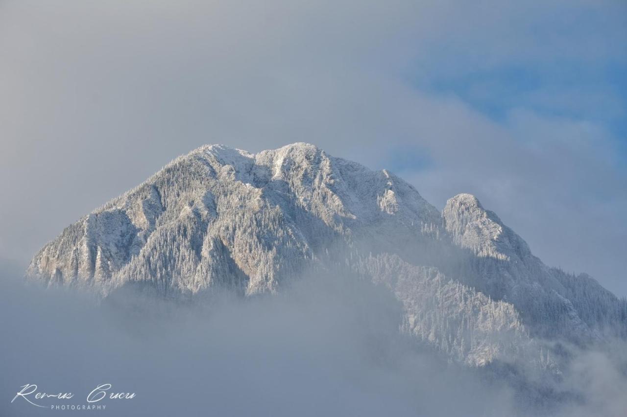 Pensiunea 3 Brazi Zărneşti Buitenkant foto