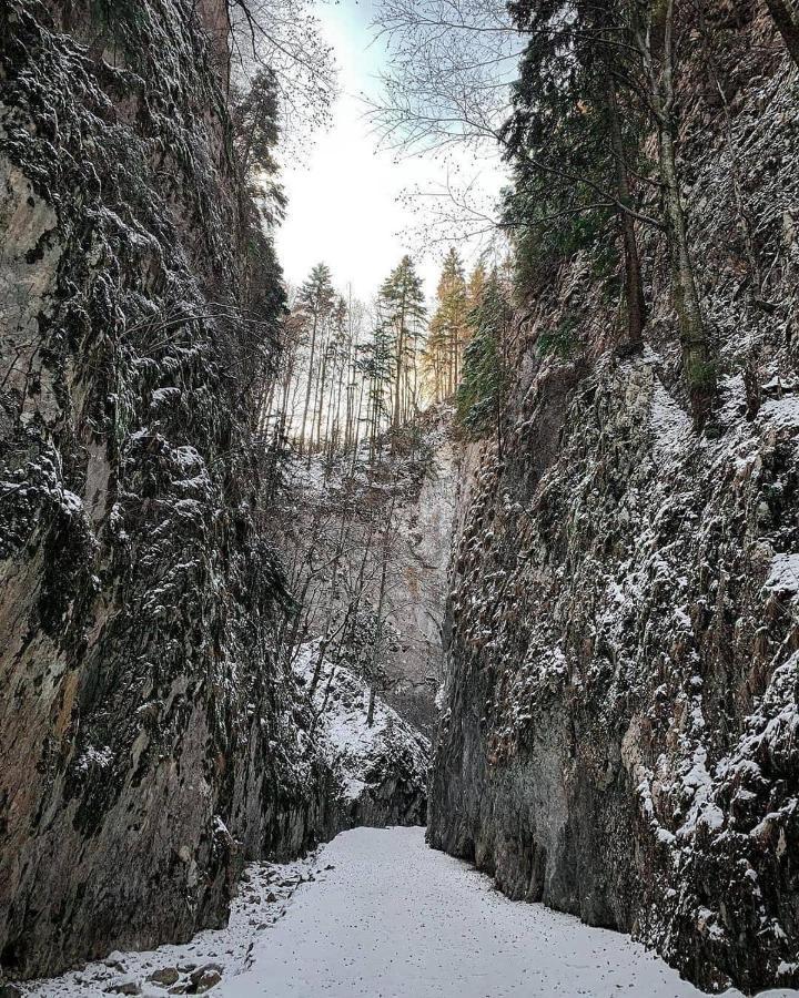 Pensiunea 3 Brazi Zărneşti Buitenkant foto