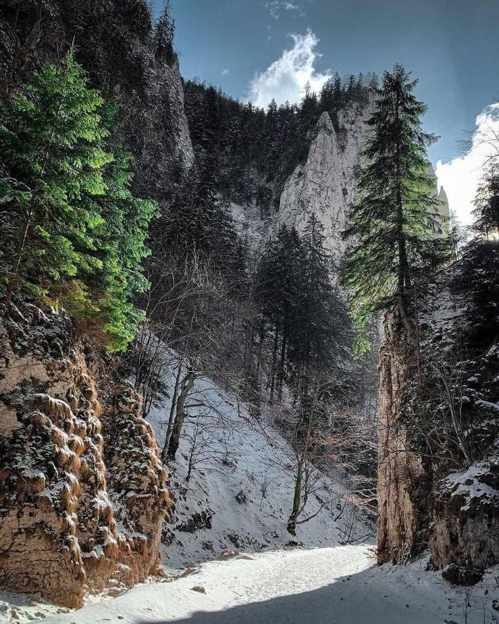 Pensiunea 3 Brazi Zărneşti Buitenkant foto