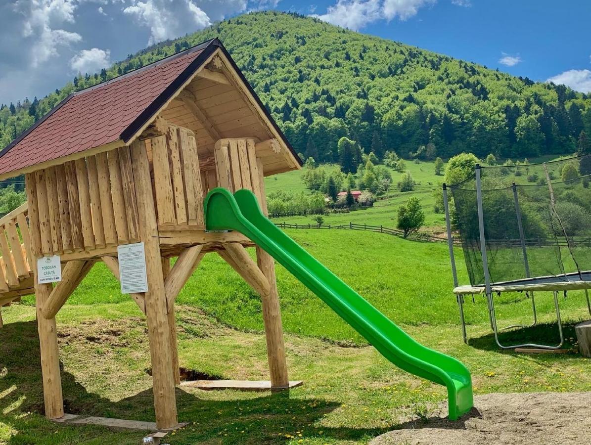 Pensiunea 3 Brazi Zărneşti Buitenkant foto