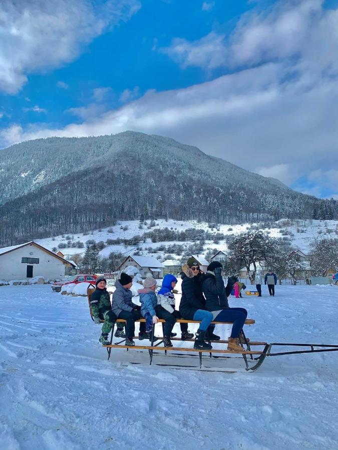 Pensiunea 3 Brazi Zărneşti Buitenkant foto