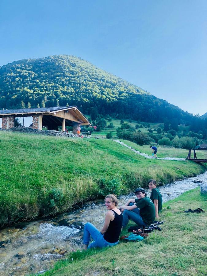 Pensiunea 3 Brazi Zărneşti Buitenkant foto