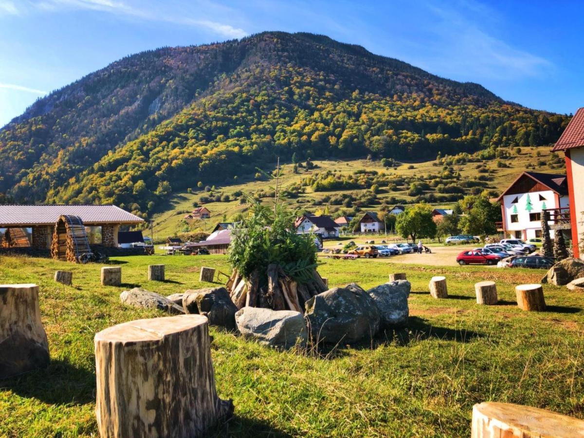 Pensiunea 3 Brazi Zărneşti Buitenkant foto