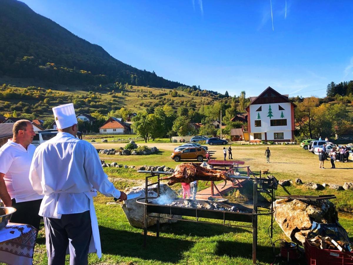 Pensiunea 3 Brazi Zărneşti Buitenkant foto